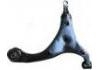 CONTROL ARM:54500-0Q000